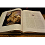 Невский проспект. Культурный исторический очерк двухвековой жизни Санкт-Петербурга в кожаном переплете ручной работы